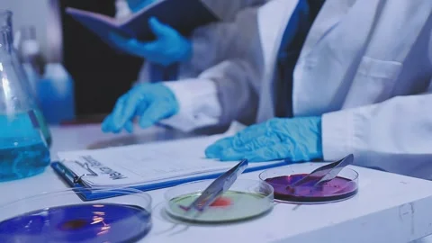 Science, research and hands in lab with notebook and computer on scientific.. Stock Footage 344457400