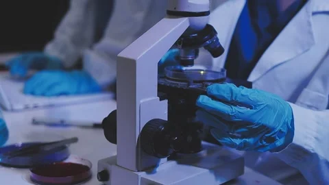Science, research and hands in lab with notebook and computer on scientific.. Stock Footage 344457541