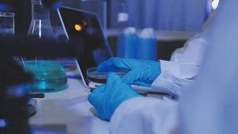 Science, research and hands in lab with notebook and computer on scientific.. Stock Footage 344457568