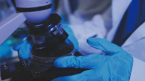 Science, research and hands in lab with notebook and computer on scientific.. Stock Footage 344457579