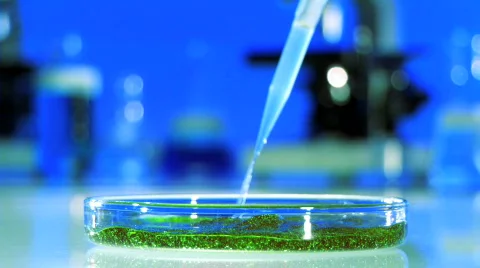 Science & Research Stock Footage