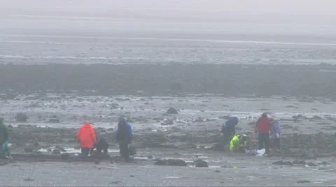 Science Research Group Stock Footage 11154754