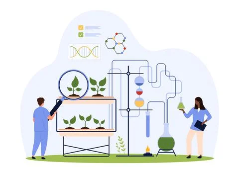Science research in laboratory, tiny people test green plant through magnifying イラスト素材