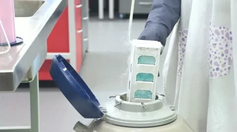 Science Research Liquid Nitrogen Stock Footage 21893311