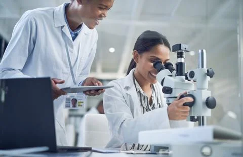 Science, tablet or team in lab with microscope, study recording or examinat.. Stock Photos