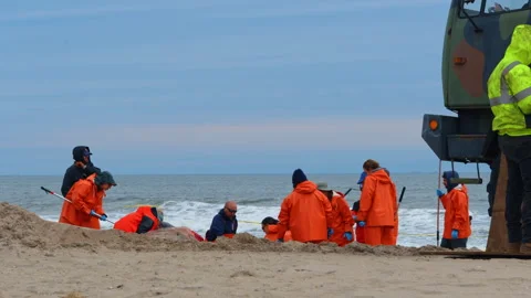 Science team in orange protective suits research the stranded whale. Environment Stock Footage 333412821