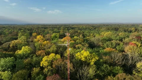 Science technology station forest weather meteorology monitoring measurements Video stock 219761752