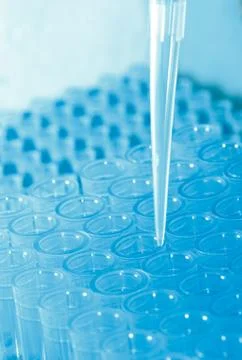 Science test pipette plastic tips Foto stock