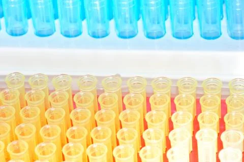 Science test pipette plastic tips Foto stock