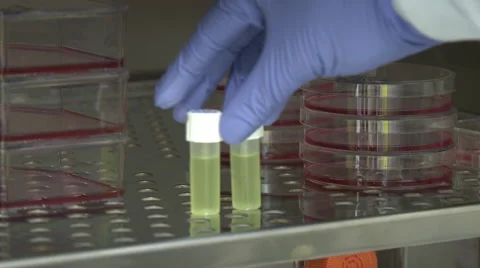 Science Testing Test Tubes Fridge Stock Footage 47728283
