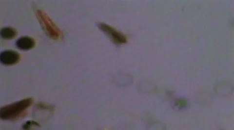 Science30 Stock Footage 5163221