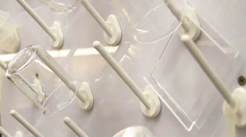 Science4 Stock Footage 936126