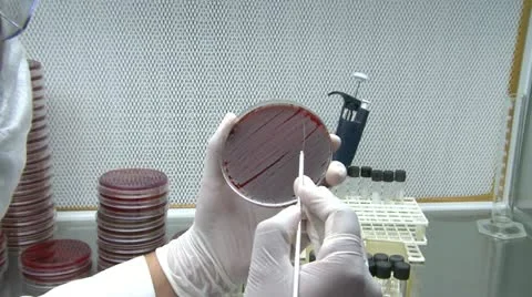 Scientific 1 動画素材 10972988