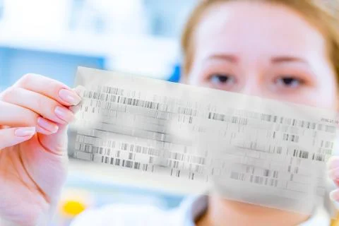 Scientific analyzes of DNA code Stock Photos