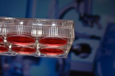 In scientific biological research using cellular technology. Stock Photos
