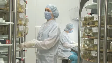 Scientific center 库存影片 11937807