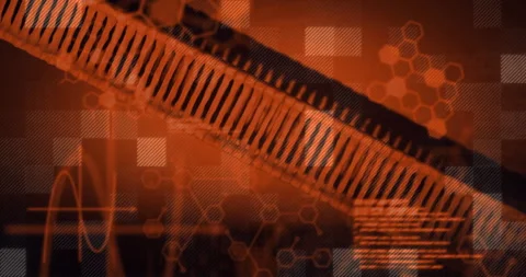 Scientific data processing animation over abstract orange and black background Stock Footage 305020583