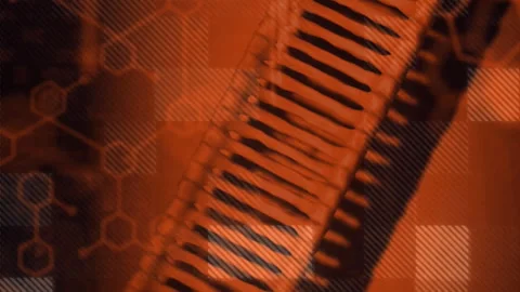 Scientific data processing animation over abstract orange and black background Video stock 313321243