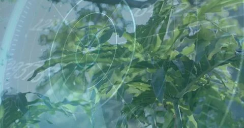 Scientific data processing image over green leaves in natural environment Stock Illustration