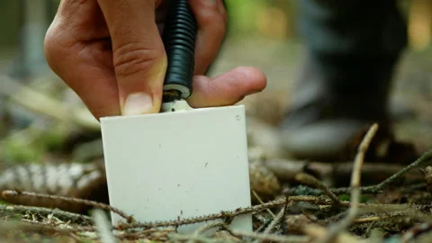 Scientific dendrometer fire forest risk measurement soil early warning systems Stock Footage 257249422