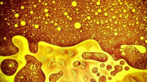 Scientific experiment and reaction, structure of bubbles. Disease-causing virus. Stock Footage 122037903