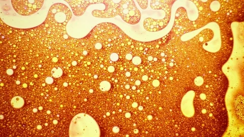 Scientific experiment and reaction, structure of bubbles. Disease-causing virus. Stock Footage 122038084