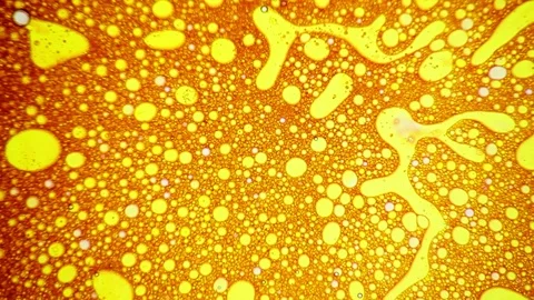 Scientific experiment and reaction, structure of bubbles. Disease-causing virus. Stock Footage 122039113