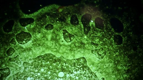 Scientific experiment and reaction, structure of bubbles. Disease-causing virus. Stock Footage 122040015