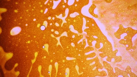 Scientific experiment and reaction, structure of bubbles. Disease-causing virus. Stock Footage 122052050