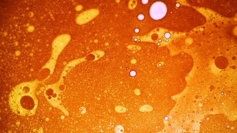Scientific experiment and reaction, structure of bubbles. Disease-causing virus. Stock Footage 122052112