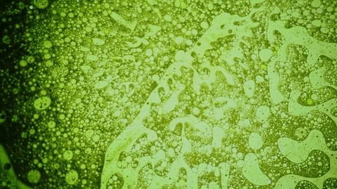 Scientific experiment and reaction, structure of bubbles. Disease-causing virus. Stock-Footage 122052350