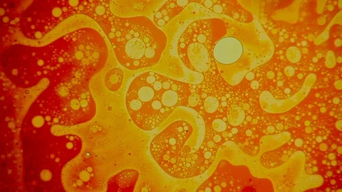 Scientific experiment and reaction, structure of bubbles. Disease-causing virus. Video stock 122059665