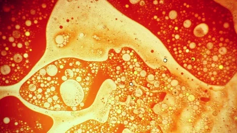 Scientific experiment and reaction, structure of bubbles. Disease-causing virus. Video stock 122273740