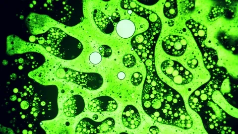 Scientific experiment and reaction, structure of bubbles. Disease-causing virus. Video stock 122274098