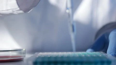 Scientific experiment 스톡 동영상 41426472