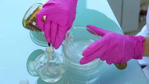 Scientific experiment 스톡 동영상 141243173