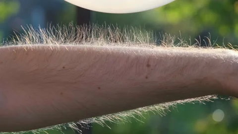 Scientific experiment with static electricity. Demonstration of static Stock Footage 195122924