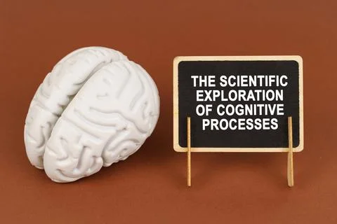 The scientific exploration of cognitive processes Stock Photos