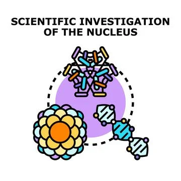 Scientific investigation of cell nucleus structure and dna Stock Illustration