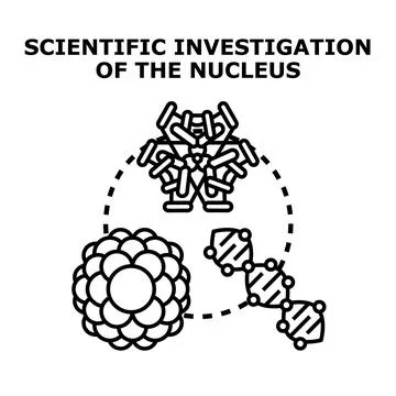 Scientific investigation of cell nucleus structure and dna Stock Illustration