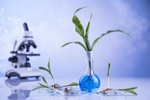 Scientific laboratory experimental glassware background Stock Photos