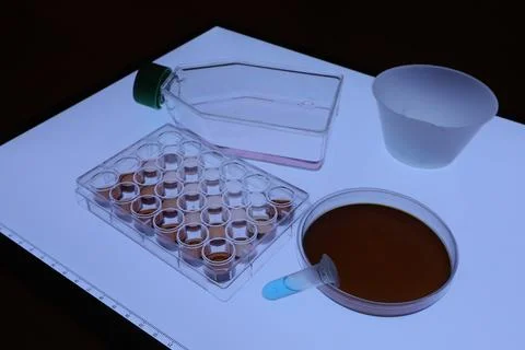 Scientific laboratory tools on lightbox preparing experiments 库存照片