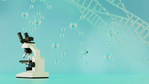 Scientific Microscope 01 4K Stock Footage 281625446