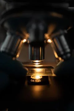 Scientific microscope in modern clean laboratory light Stock Photos