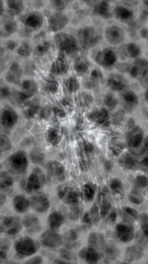 Scientific microscopic view of particle animation Stock Footage 342248957