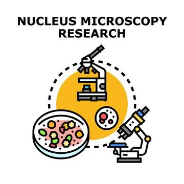 Scientific microscopy research analyzing cell nucleus structure Stock Illustration
