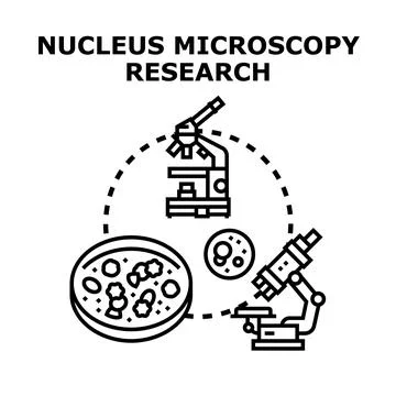 Scientific microscopy research analyzing cell nucleus structure Stock Illustration