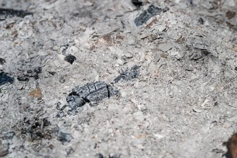 Scientific pattern of ash debris. Highresolution visualization of ash and c.. Stock Photos