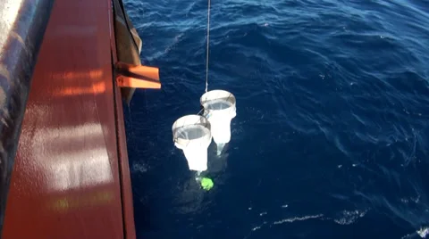 Scientific preparing a Bongo nets to take samples of microorganisms Stock Footage 36439036