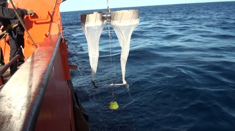 Scientific preparing a Bongo nets  to take samples of microorganisms Stock Footage 36440427